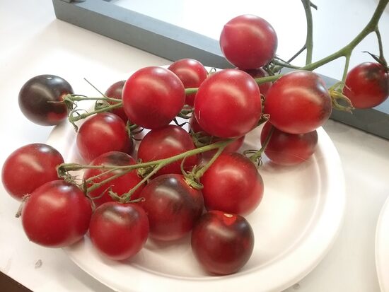 Гранатовая капля